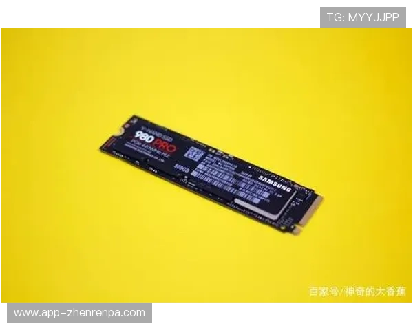极速百家家乐app下载官网安全保障措施，确保玩家信息与资金安全无忧